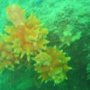 레저클럽 이미지