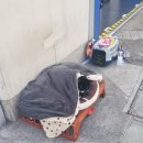 런던 자유여행 : 후기와 감상