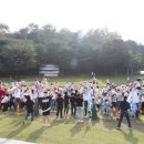 모아모여 이미지