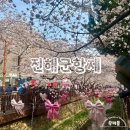 진해여자중학교 | 진해군항제 경남 진해 벚꽃 구경 꿀팁 추천 (진해군항제, 경화역, 여좌천로망스다리, 해군사관학교)