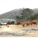 지산목장 이미지