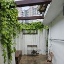 오프닝포트