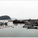 농소항 Daum카페
