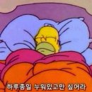 빠빠 이미지