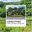 월악산국립공원 송계자동차야영장 이미지