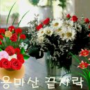 행복한기다림