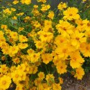 볼눈경로당 이미지