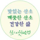 최강드림태권도 이미지