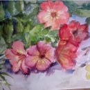 수채화 입문 이미지