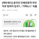 중국 무비자 관련해서 극우 2찍들이 자꾸 선동하는데 좀만 검색하면 개구라라는 걸 알 수 있음 이미지