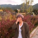 엘림(Elim)헤어
