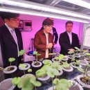 제강농장 이미지