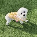 개편한 스쿨 이미지