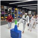 혁신 태권도 이미지