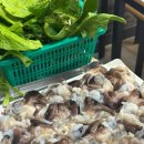 어촌횟집 이미지