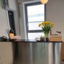 프랑소와펫(압구정점) 이미지