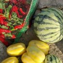 카페모드 이미지