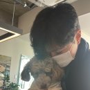덴데얼커피 이미지