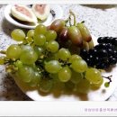 대봉농촌체험휴양마을 이미지