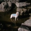 신명메디칼 이미지