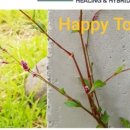 축복건축사사무소