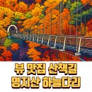 하늘다리 | 명지산 하늘다리 탐방 후기 🌉 아이와 함께 걷기 딱 좋은 코스!