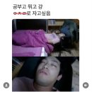 정업 이미지
