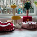 (주)꿈꾸는집2 | 광주 고양이 보호소 봉사 후기, 꿈꾸는 고냥이 쉼터 첫 방문