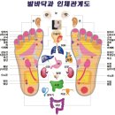 탑안마원 이미지