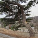 바우길 2구간 이미지
