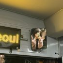 중앙로(R+L)(삼척역간) | 1월의 제주여행기