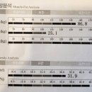 원 핏 아라 이미지