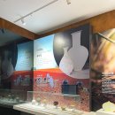 갯지렁이 전시관 이미지