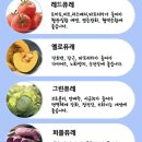 메이멍 | 강아지 수제간식 추천_올데이멍 퓨레 수제간식 후기&amp;올메이멍의 펫푸드 원데이 클래스