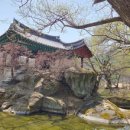 석천할아버지 이미지