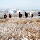 알펜시아 스포츠파크 바이애슬론 경기장 이미지