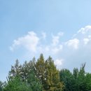 우장산공원길 | 테니스장 추천_서울 강서구 우장산테니스장