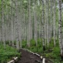 인제02-2 이미지