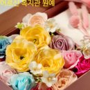 서울특별시 중랑구치매안심센터 이미지