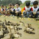 탑연1리 이미지