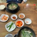 진돼지국밥 | 킨텍스 맛집 식당 로만국밥 돼지국밥 후기