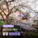 다압면 섬진강 매화마을 인근 이미지