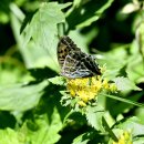 이화여자대학교 자연사박물관 이미지