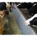 모산농장 이미지