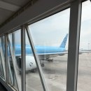 901 | 인천 파리 대한항공 KE901 비상구 좌석 후기 + 기내식 솔직 리뷰