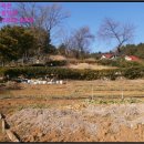 석전동161 이미지