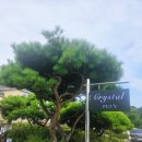 GS25안산시랑점 이미지