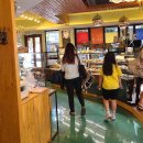 쇠소깍 공영주차장 화장실 이미지