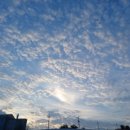 다이소포항우현점 이미지