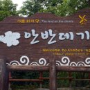 안반데기하늘농장펜션 이미지